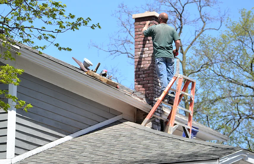 Chimney & Fireplace Inspections Services in Spring Hill, FL